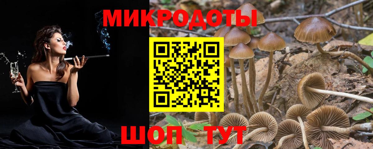 Псилоцибиновые грибы GOLDEN TEACHER Королёв