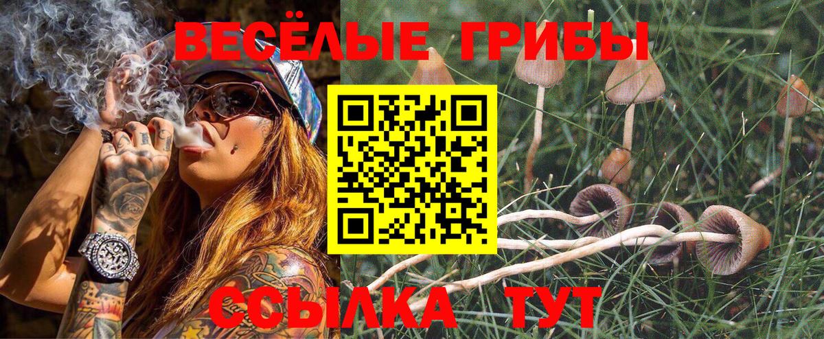 Королёв  Галлюциногенные грибы прущие грибы  Галлюциногенные грибы мицелий  Вход с VPN 