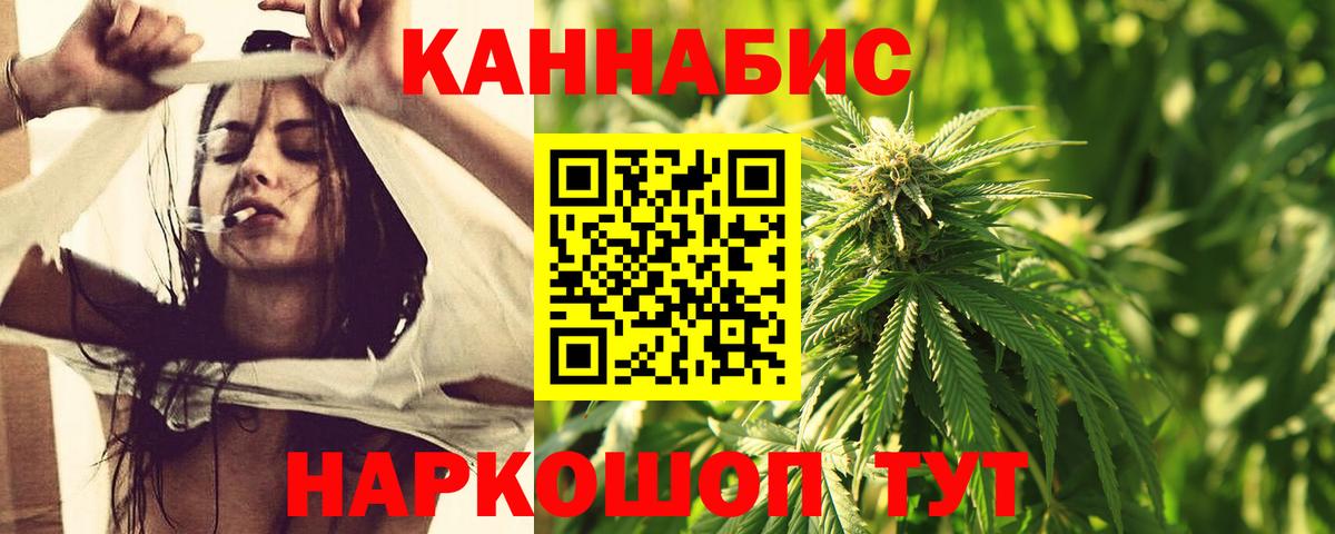 Конопля ГИДРОПОН  Канабис Bruce Banner  Королёв  Вход с VPN  МАРИХУАНА тримм 